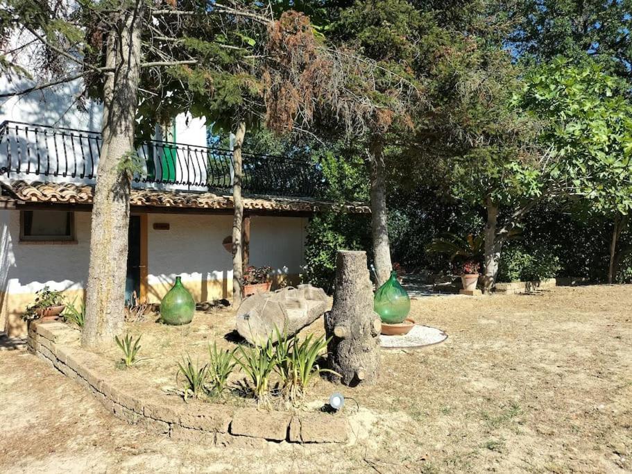 Villa Marcella Casa Vacanza 그로타졸리나 외부 사진